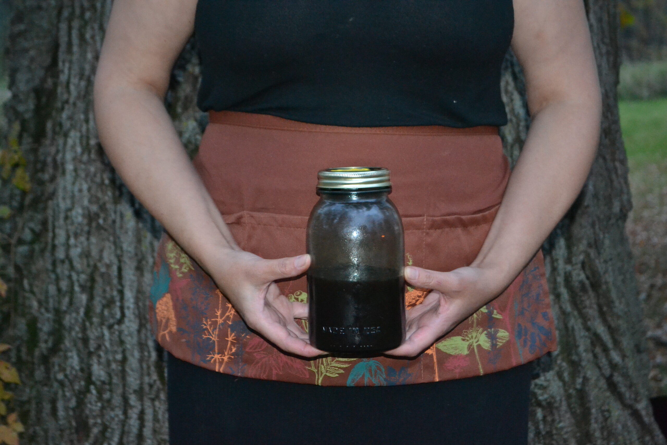 Elderberry Syrup for Psychological Immunity - Esoteric Herbalism